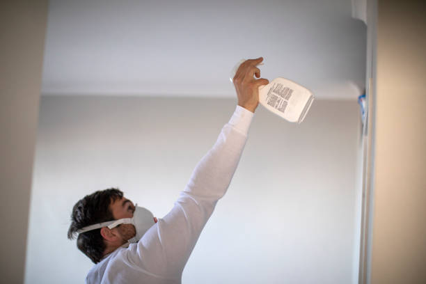 Best Toxic Mold Removal  in Heyburn, ID