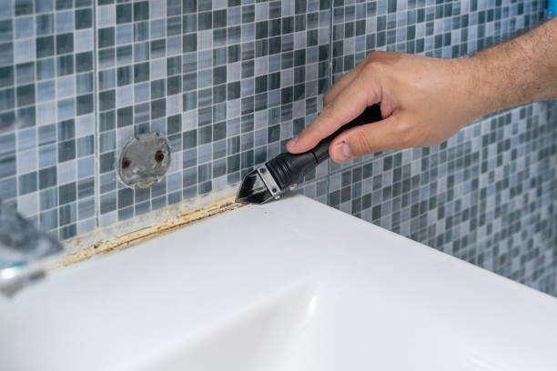 Best Mold Cleaning Services  in Heyburn, ID