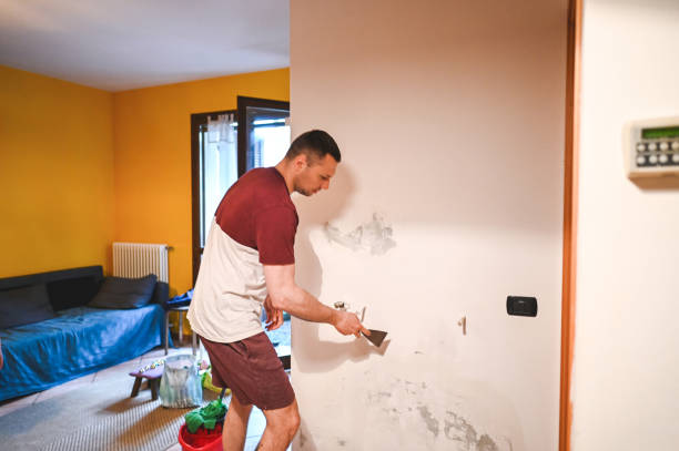 Best Emergency Mold Removal  in Heyburn, ID